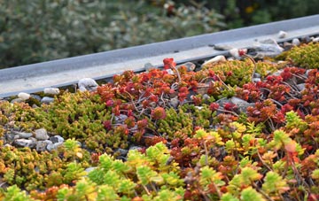 the cost of Combebow green roof installation